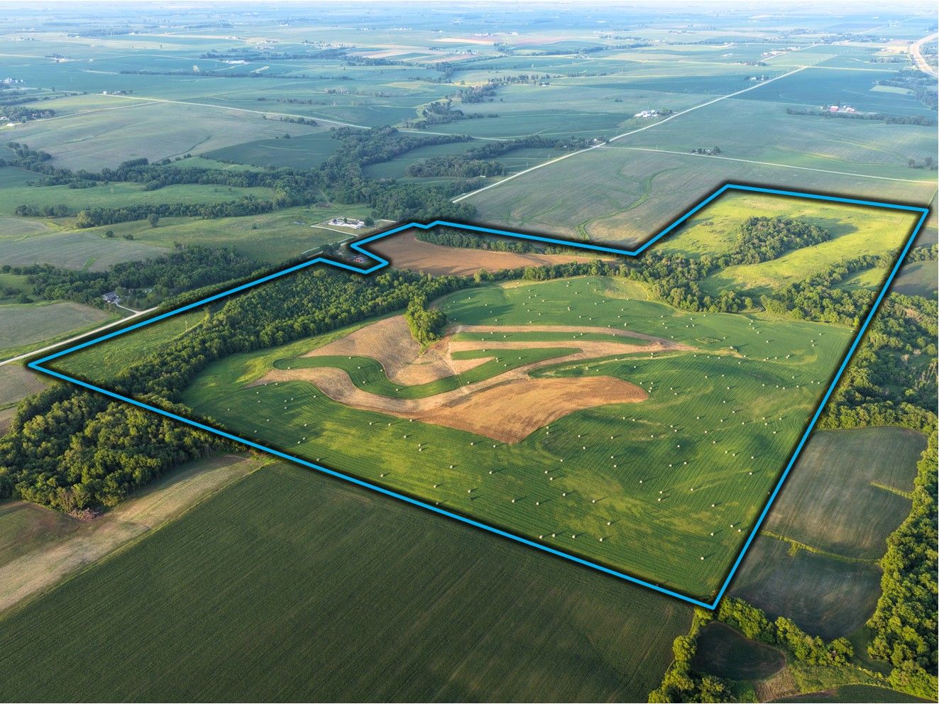 Listing Photo: Muscatine County, IA Land For Sale 1
